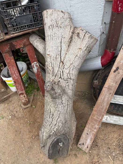 Vand lemn nuc si frasin