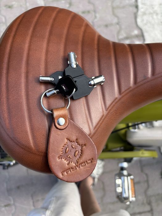 Bicicleta electrica Rayvolt