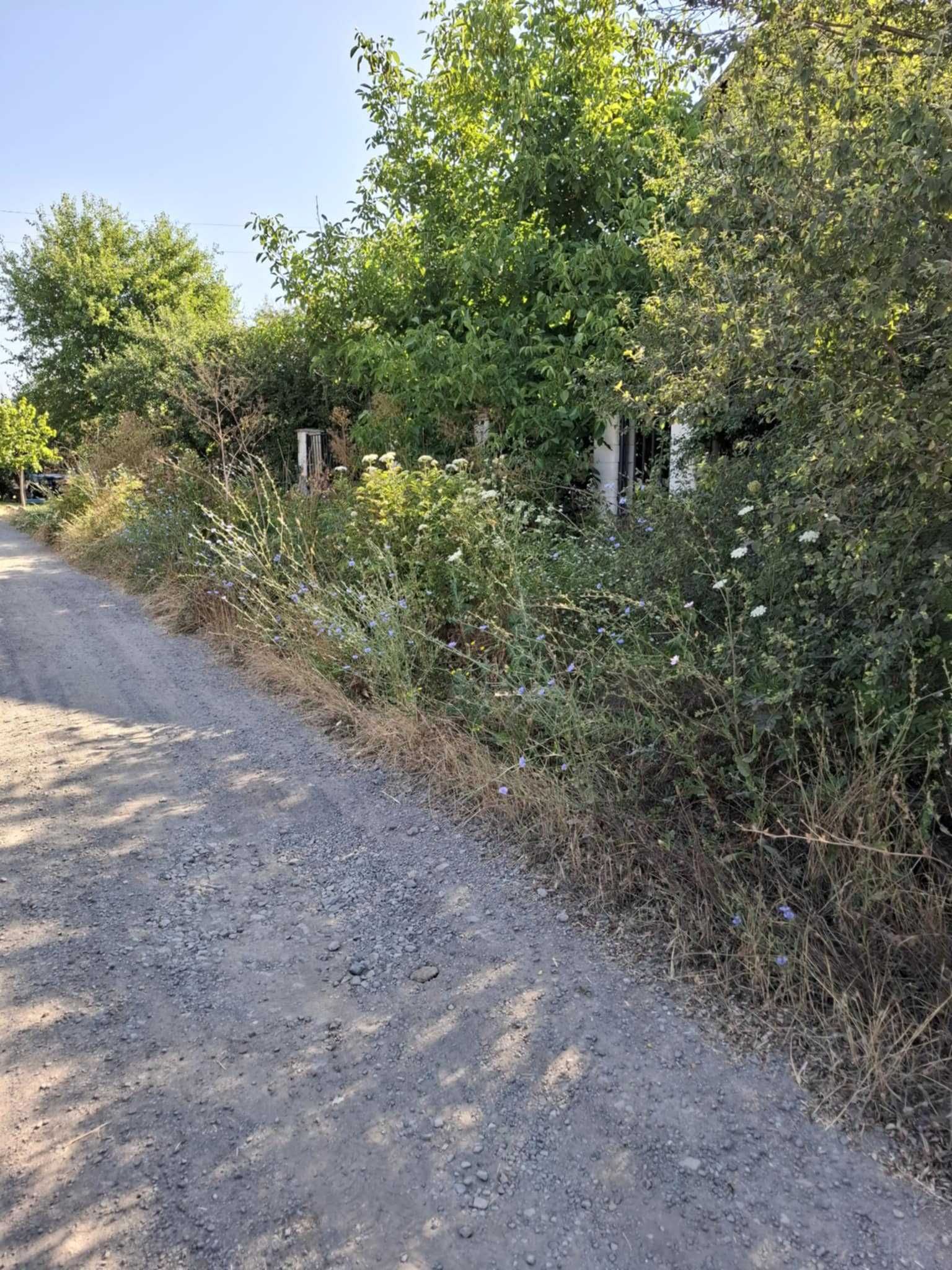 Косене на Трева, Подрязване на Храсти и Клони в гр. Бургас и Региона.