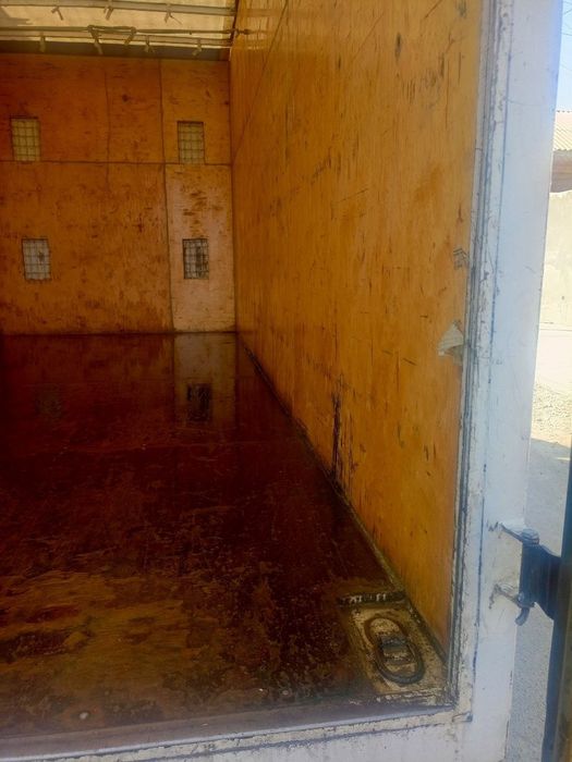 2019yil Shtorka qilingan 25kuba