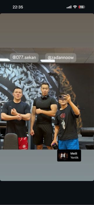 16 про макс 256 гб серый цвет без царапин с чехлом зарядкой вместе