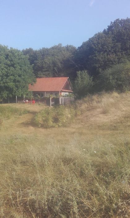 Casa și teren Vingard Alba