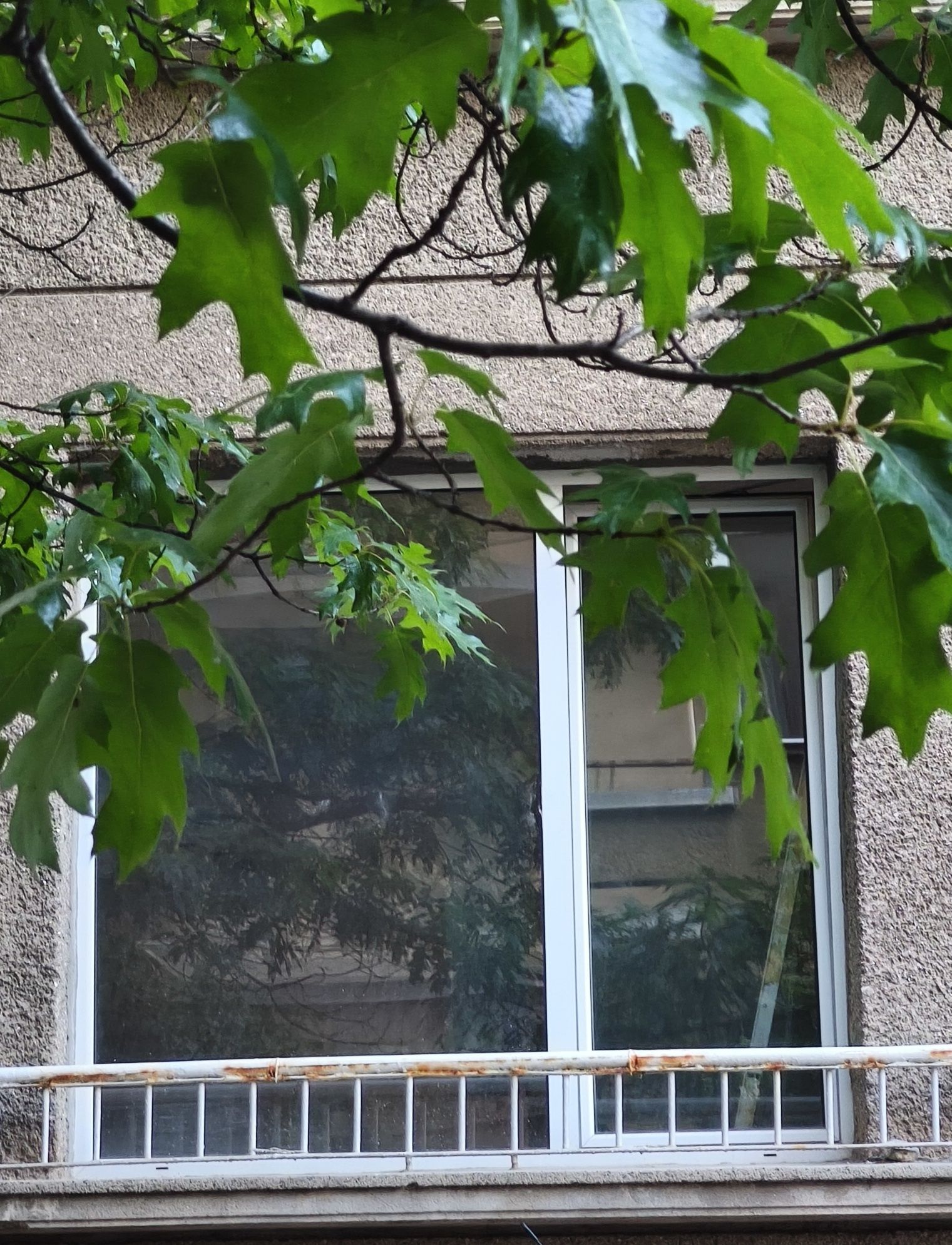 Алуминиева дограма