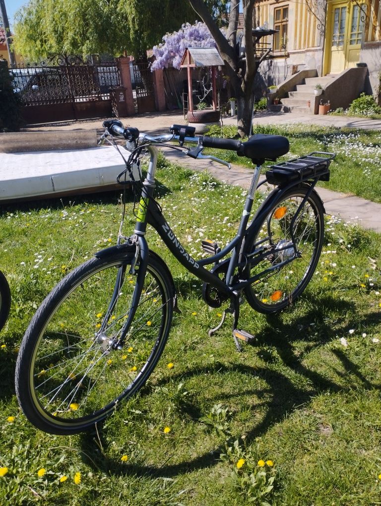 Bicicleta electrica