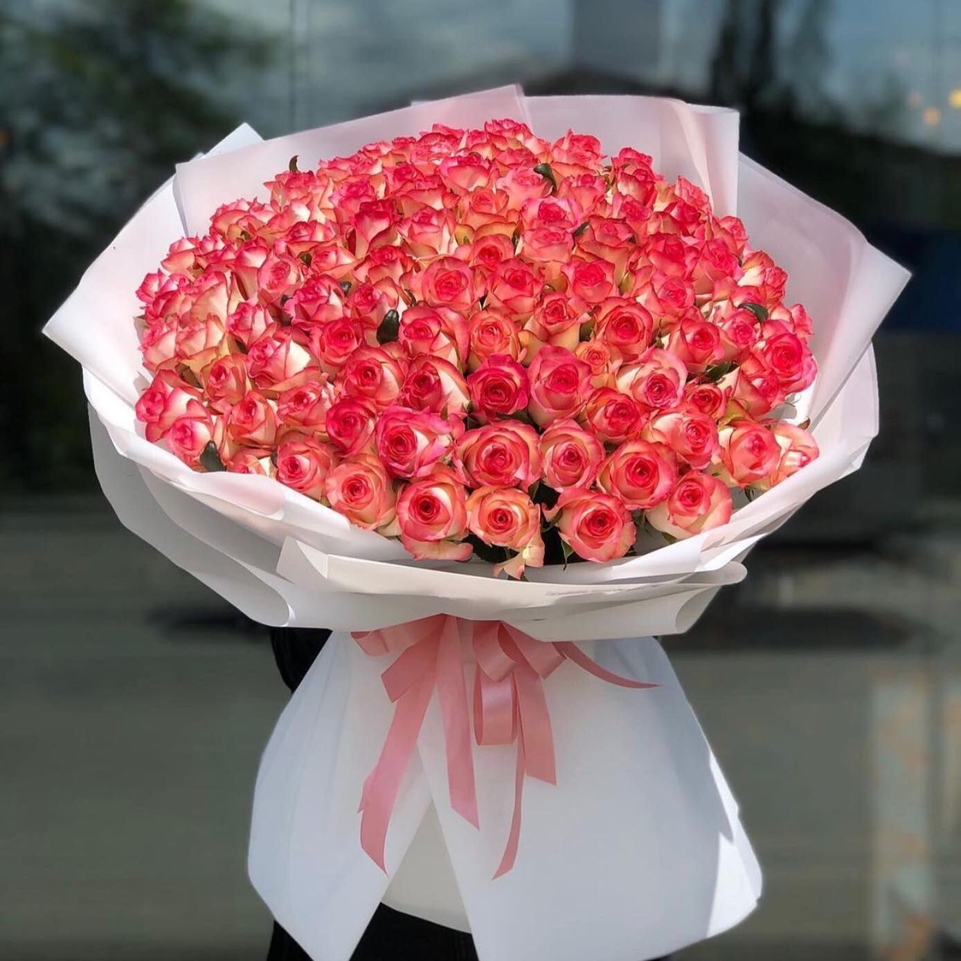 розы Голландия цветы букеты Шымкент доставка