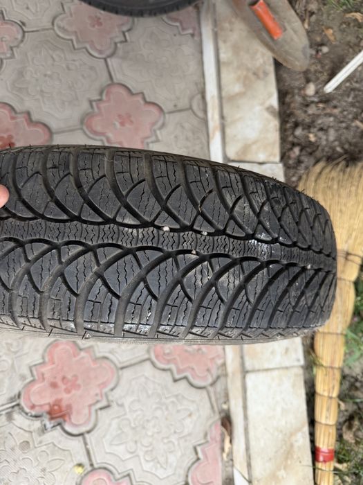 Одна резина 175/70/14