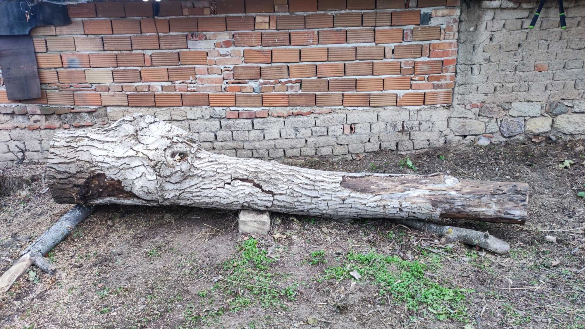 Продавам орехови трупи