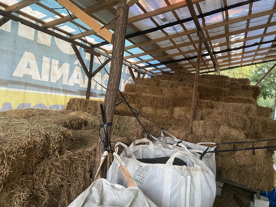 Baloti de lucerna , paie  si coceni de vanzare