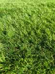 Gazon Artificial Premium, Fir 37 mm, Imitatie Perfecta Gazon Natural