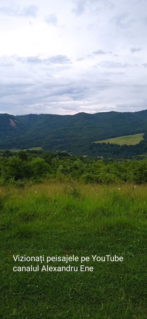 Teren munte de vis!