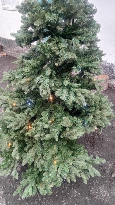 Продам Ёлку, торг есть