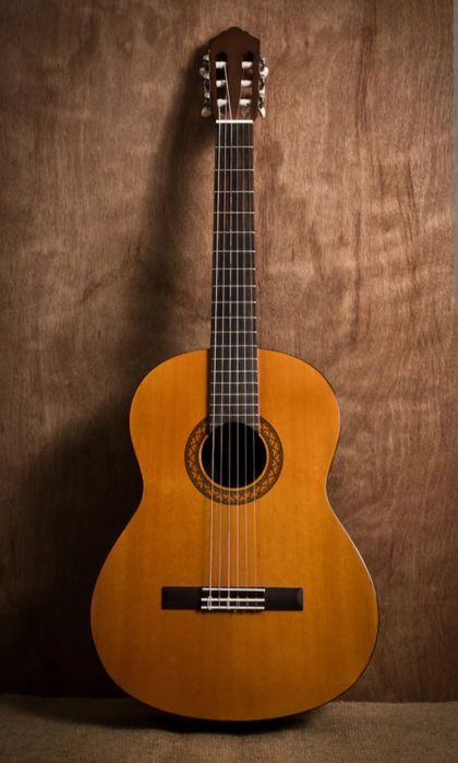 Gitara chalishni o'rgataman. Я обучаю игре на гитаре 

«Я обучаю игре