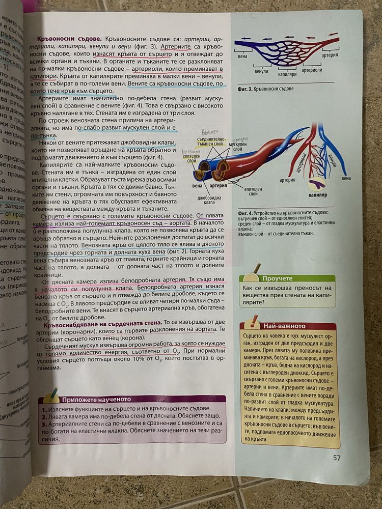 Учебник по Биология