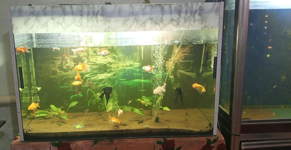 Продам аквариум 500литров