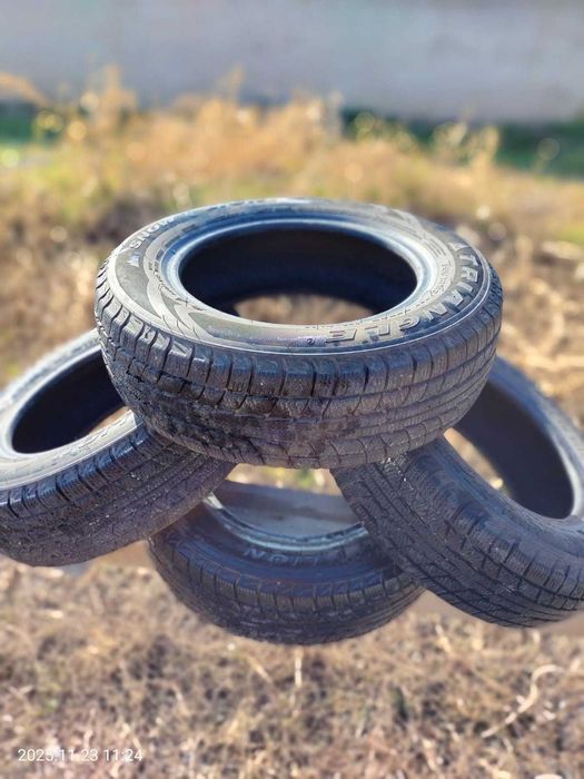 Шины зимние Triangle R13