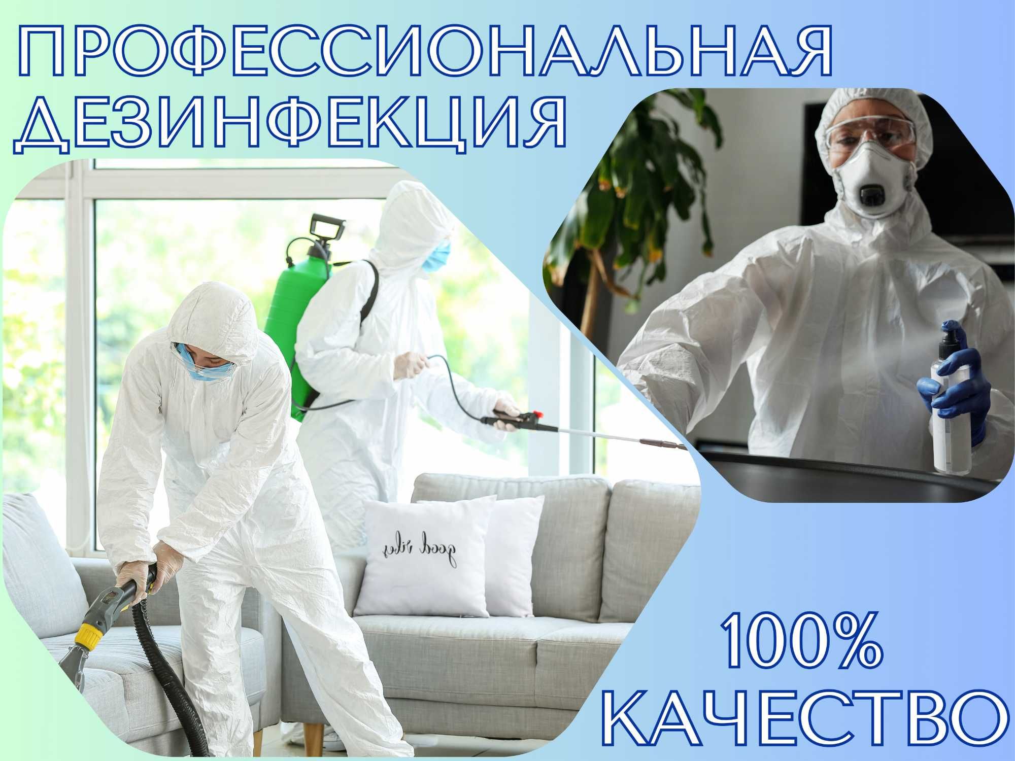 Дезинфекция клопов дезинфекция от клопов dezinfeksiya klapa klopa