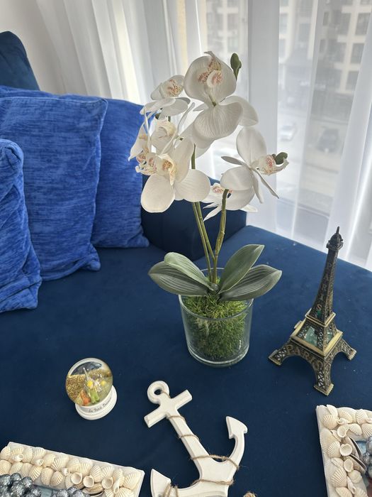 Цена на целия декор 15 лв, цена за всичко