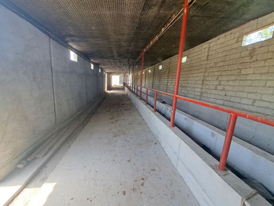 20 sotix xovli + ferma