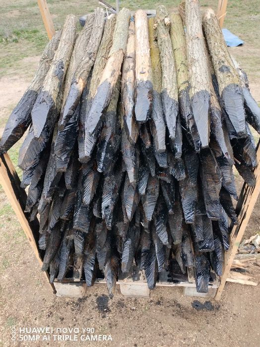 Акациеви колчета за електропастири ,крави,коне,кози , овце ! 4 лв /бр.