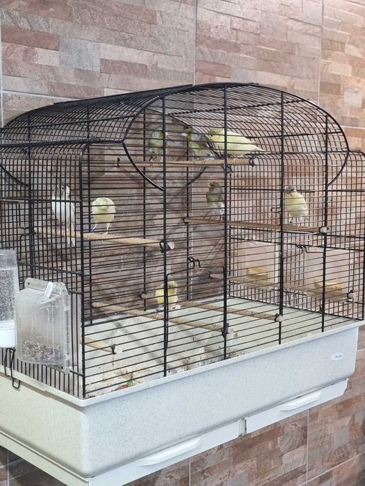 Продавам обучени хибриди