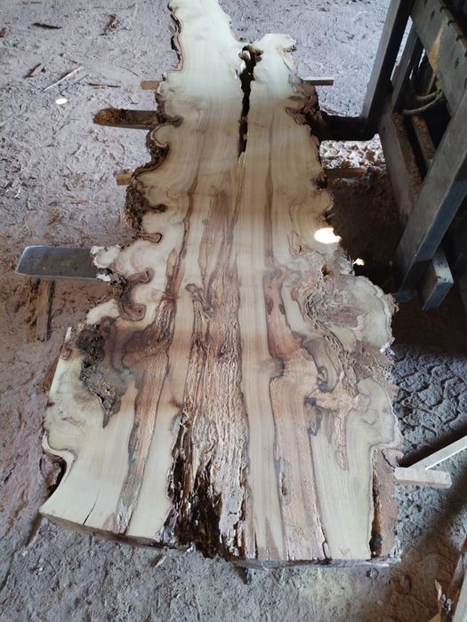 Blaturi pentru proiecte rășină