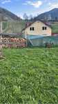 Vand 2 capre alpina franceza