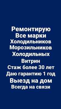 Ремонтирую холодильники, морозильники, холодильные витрины