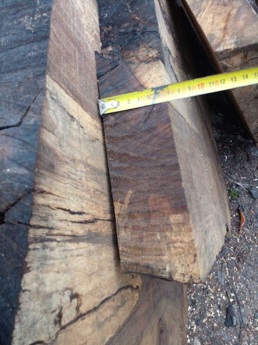 Radacina de nuc sectionata