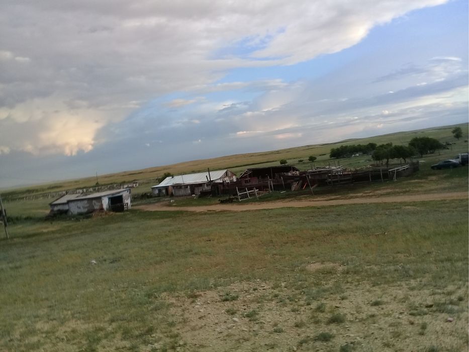 Аренду сдаю действуюши ферму или инвестор нужен