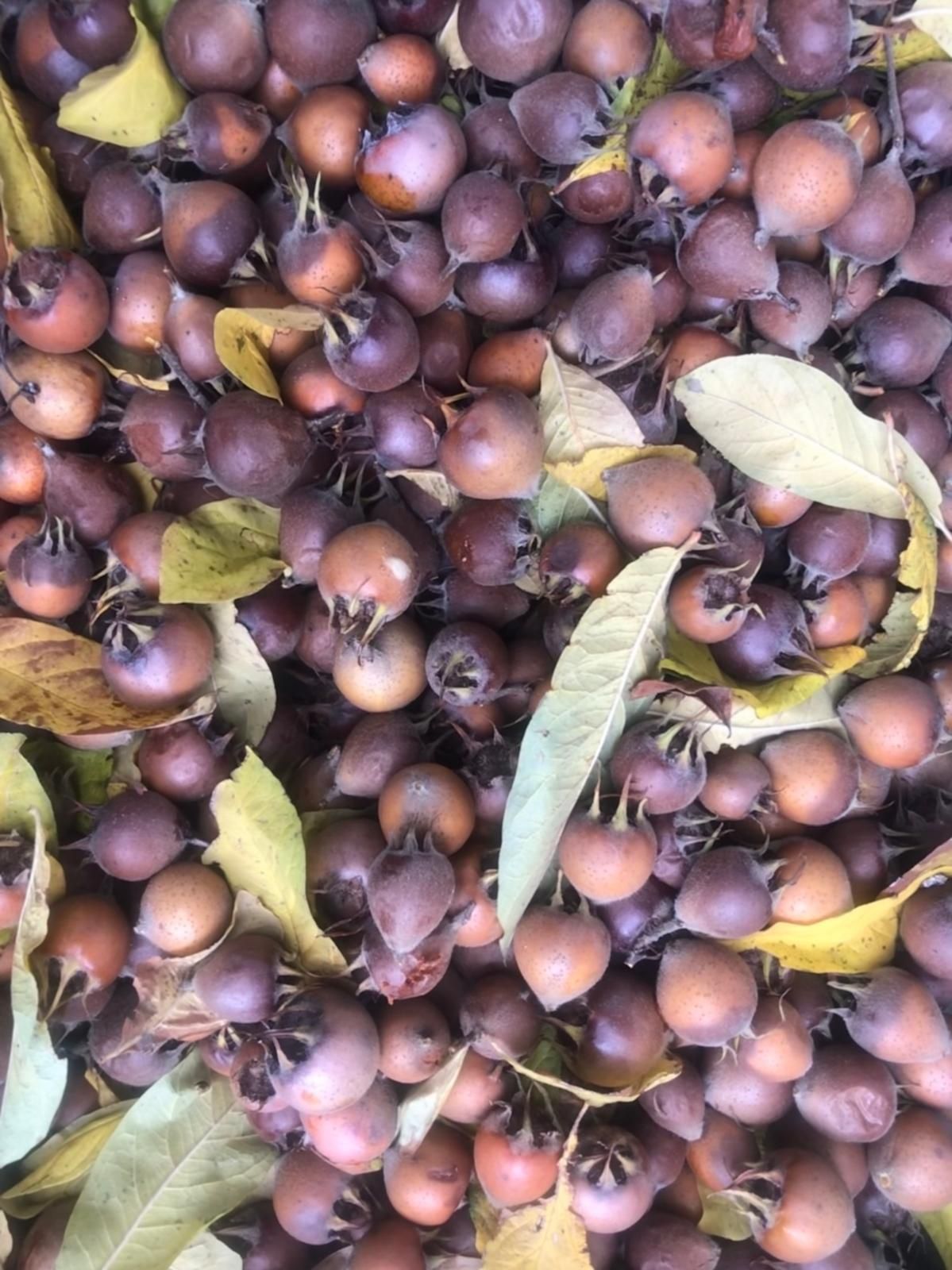 Fructe mosmoane, nuspui de vanzare