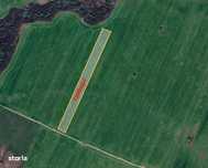 Teren extravilan agricol de vanzare – Costeiu, jud.Timis