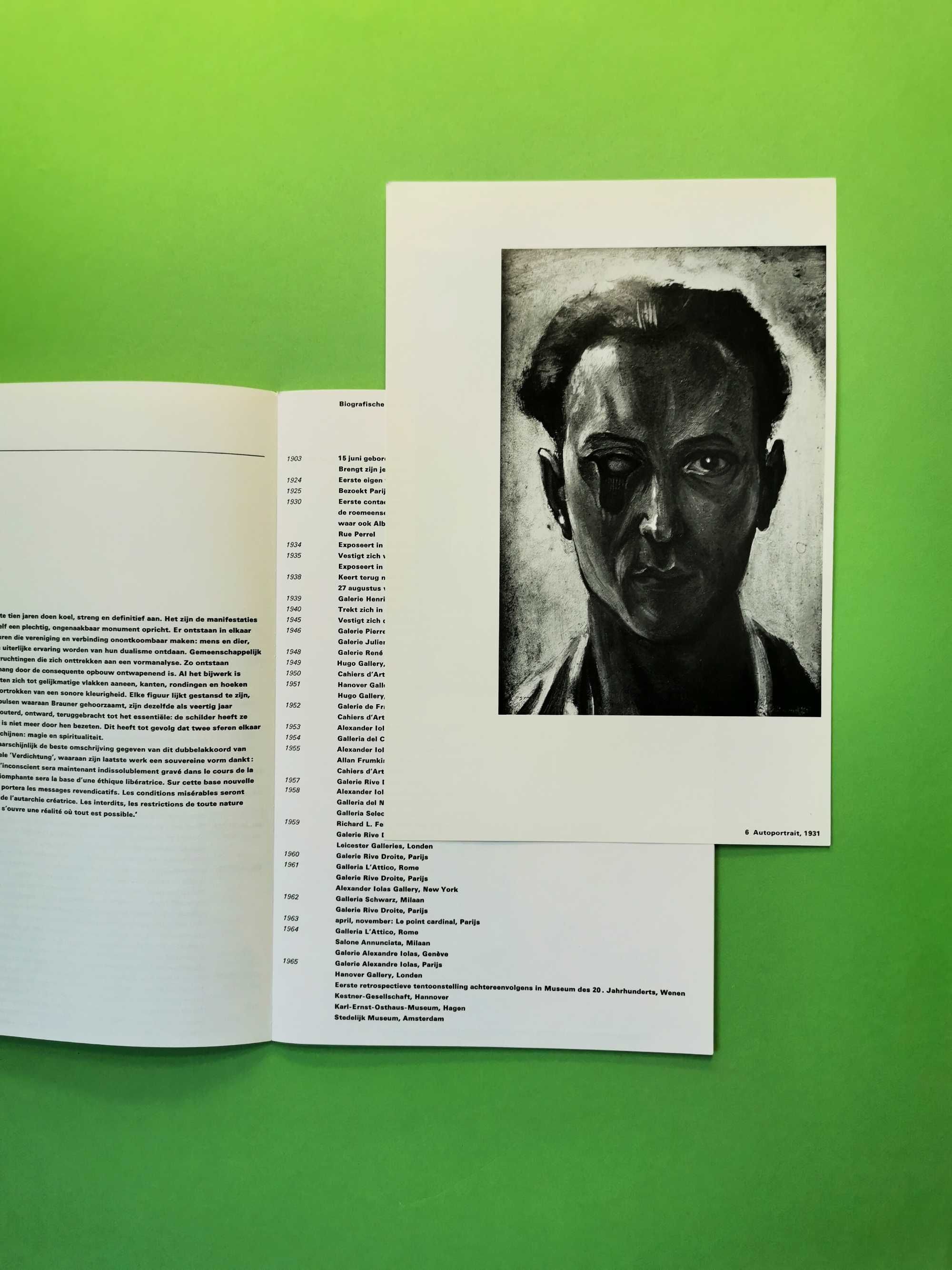 Victor Brauner catalog album carte expozitie arta Stedelijk Muzeu 1965