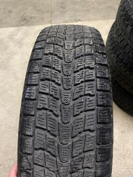 Ризина зимняя .4 шт