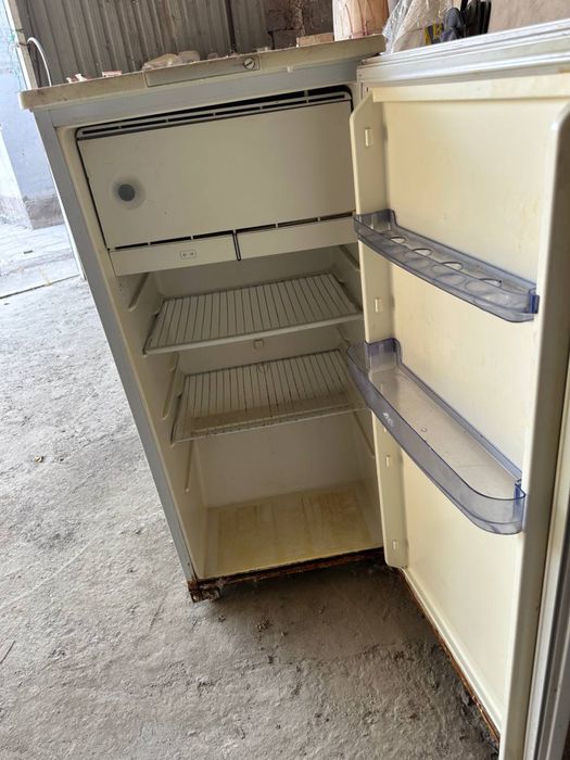 Халаделник Брюса Россия