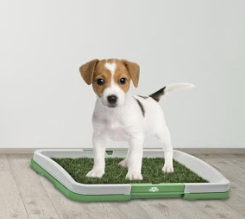 Litiera toaleta cu iarba artificiala pentru animale,catei Puppy Potty