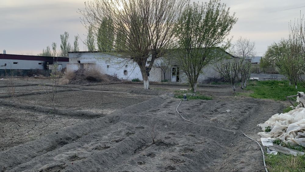 фермерлик завод ва бошка бизнес учун арендага бэрлади хама шароти бор