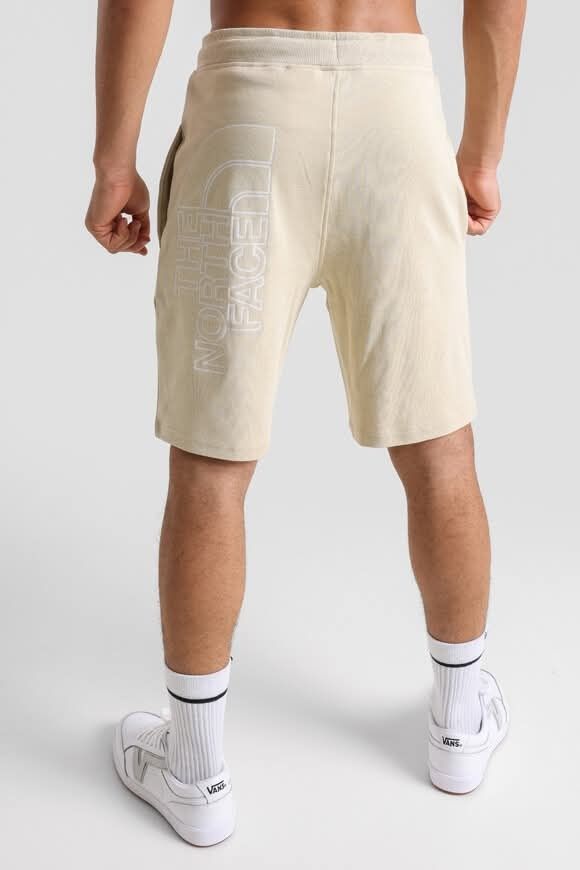 Мъжки спортни панталони The north face