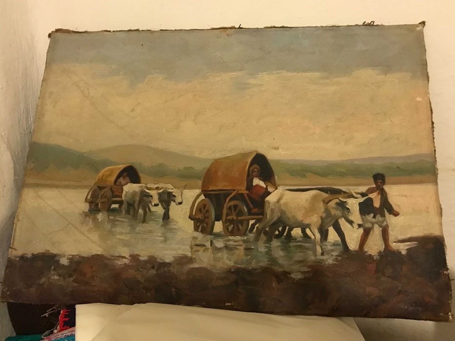 Pictura veche panza carul cu boi