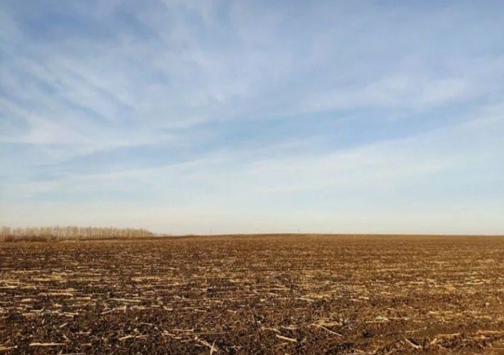 Продаётся полевная земля с площадью 18 га