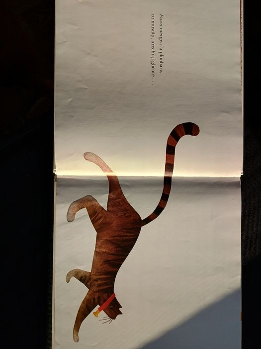 Carte copii "cu toții au văzut o pisică" explorat in imagini