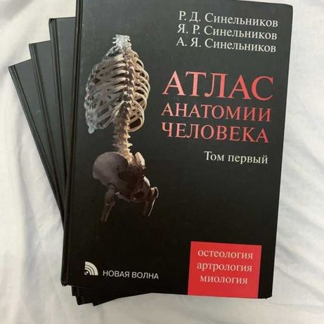 Атлас учебник анатомия Синельникова 4 тома