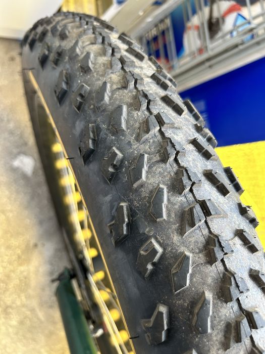 Bicicleta electrica fatbike