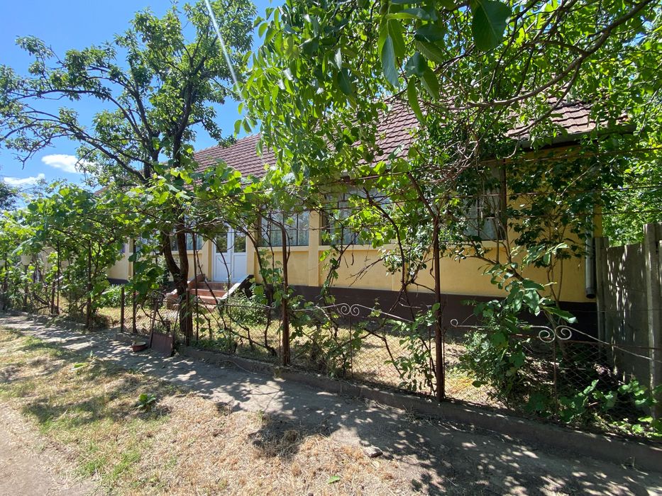 Casa la Cebza cu 4000 mp teren  intraviran