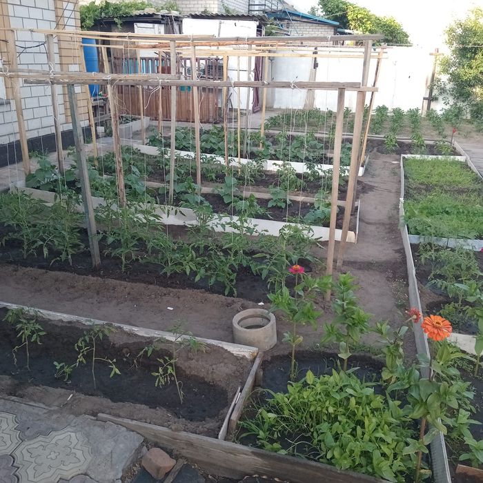 Продам дом. В районе мдс. .