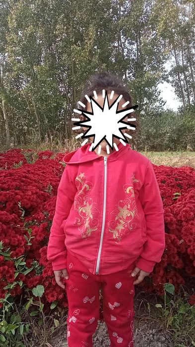 Хризантема сотилади ер жой тайёрлаб экиб хам берамиз