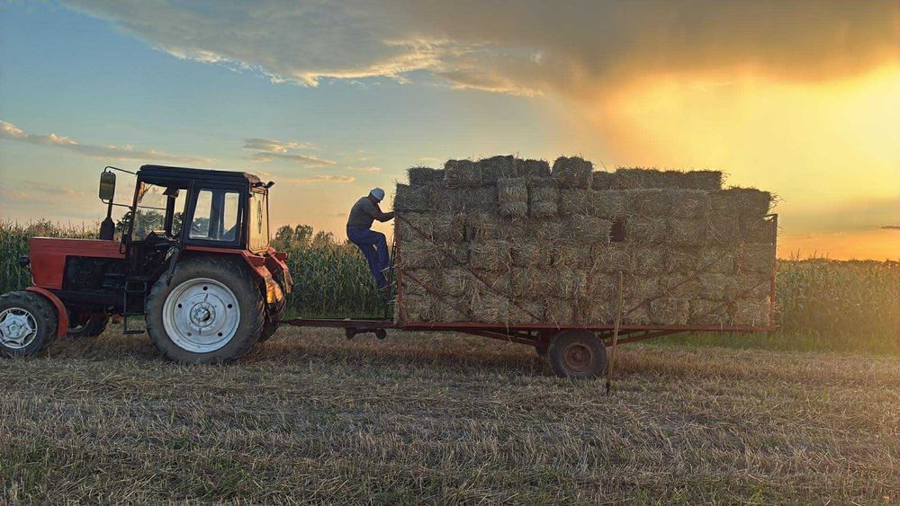 Vând tractor belarus
