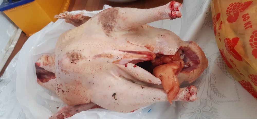 Мясо индюка домашний