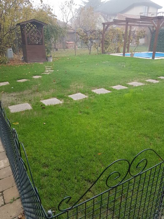 Montatori pavaje,Arad