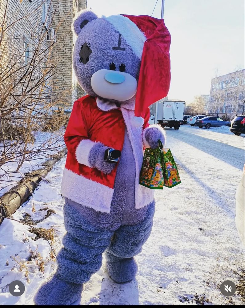 Мишка Тедди поздравит вас