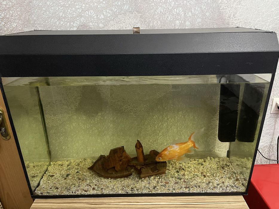 Аквариум на 110 л , со всеми вещями